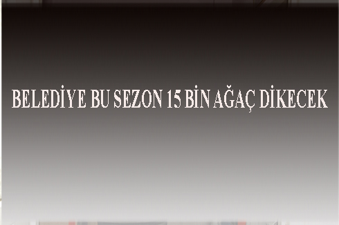 BELEDiYE BU SEZON 15 BiN AĞAA‡ DiKECEK