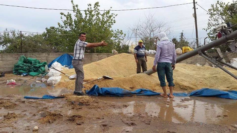 Buğday Pazarını Su Bastı