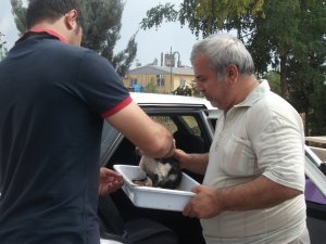 Derman Baba'dan bir insanlık örneği