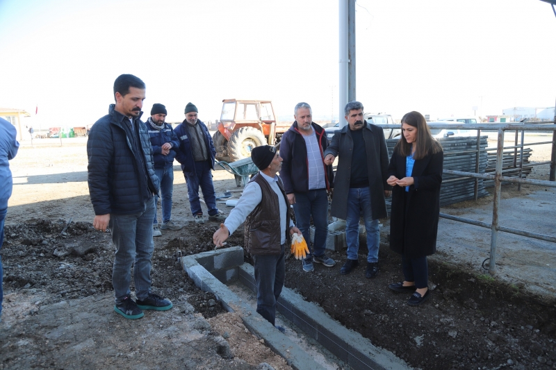  Ergani Belediye Eş Başkanı  Azak Bayar’dan Hayvan Pazarına Ziyaret