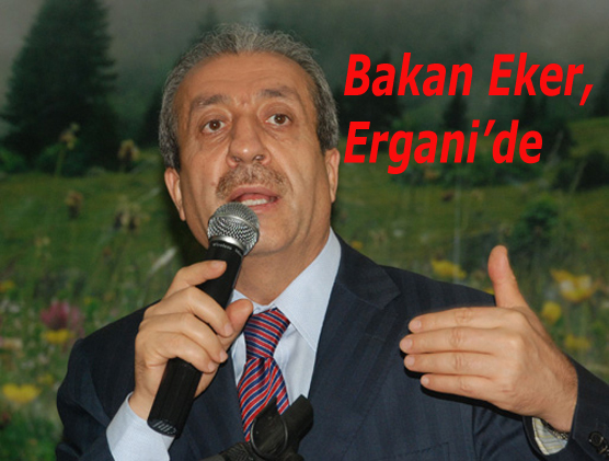 Bakan Eker, Erganiç™de incelemelerde bulundu