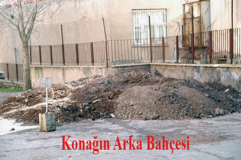 Konağın Arka Bahçesi