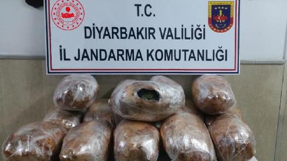 Dışı salçayla sıvanmış paketlerde 49 kilo esrar ele geçirildi