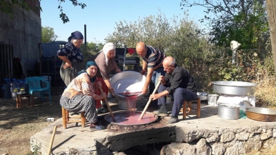 Bağ bozumu geleneği başladı