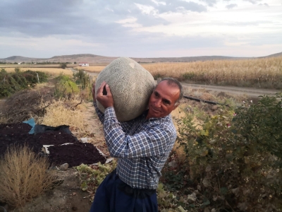 Ergani ilçesinde 27 kilogram kavun yetiştirdi