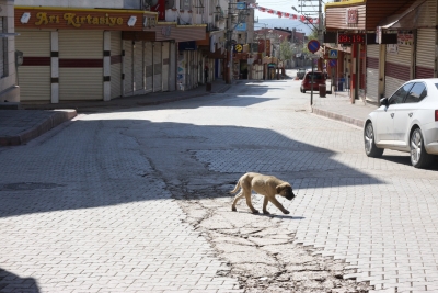 Ergani’nin Cadde ve sokaklarında sessizlik hakim