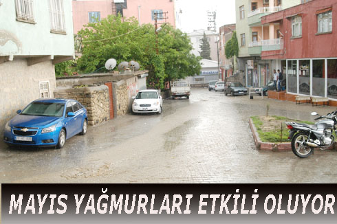 MAYIS YAĞMURLARI ETKiLi OLUYOR