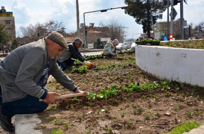 Park ve bahçelere mevsimlik çiçek dikimi yapılıyor