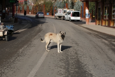 Sokağa çıkma kısıtlamasında cadde ve sokaklar boş kaldı