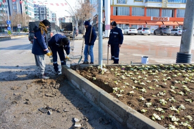 Yeşil Alanlarda Bakım,Temizlik ve Onarım